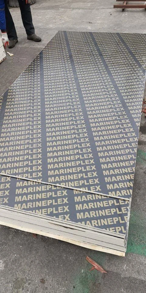 18mm Marine Plex Plywood Film Faced Plywood