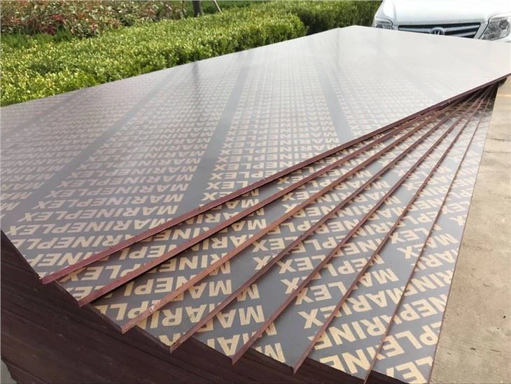 Proizvođač brodske šperploče od 18 mm - Shandong Xingang Group