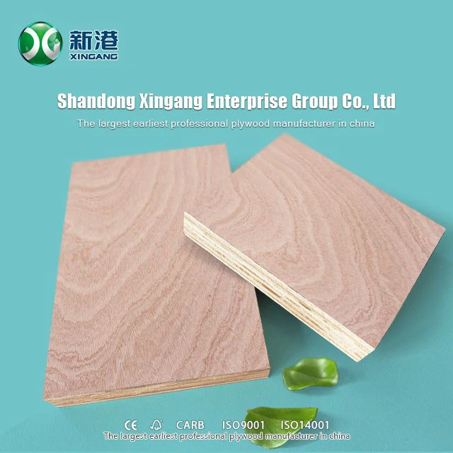 9mm 12mm 15mm 18mm Faced Okoume Plywood Bintangor Plywood Hardwood Plywood