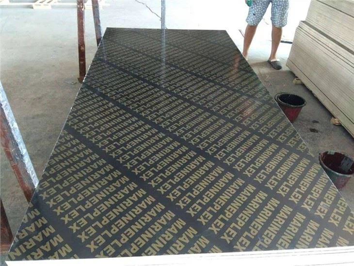 Najprodavanija šperploča obložena folijom na tržištu UAE
