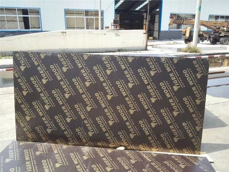 Brich Plywood With Phenolic Glue Boling Time 72 Hours