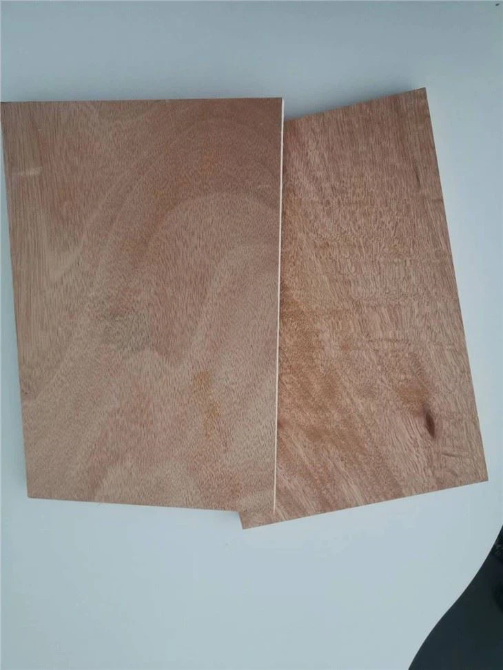 Factory Supply 3mm,5mm,9mm,12mm,15mm,18mm Waterproof E0 E1 Marine Plywood