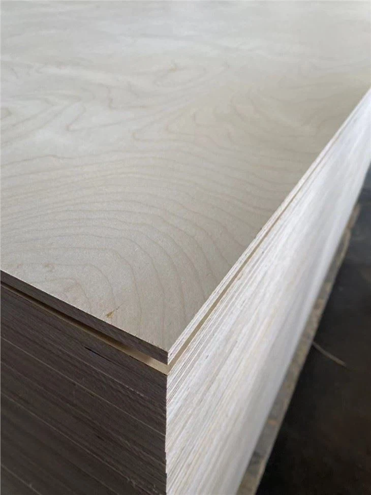 Full Birch Plywood Made in China