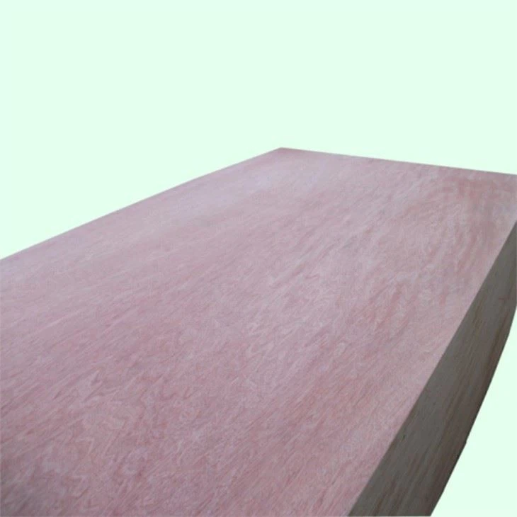 Linyi Plywood For Sale Plywood Hot Press Machine Made