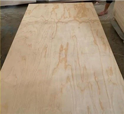 WBP LJEPILO PINE CORE Pine CDX strukturalna šperploča za gradnju