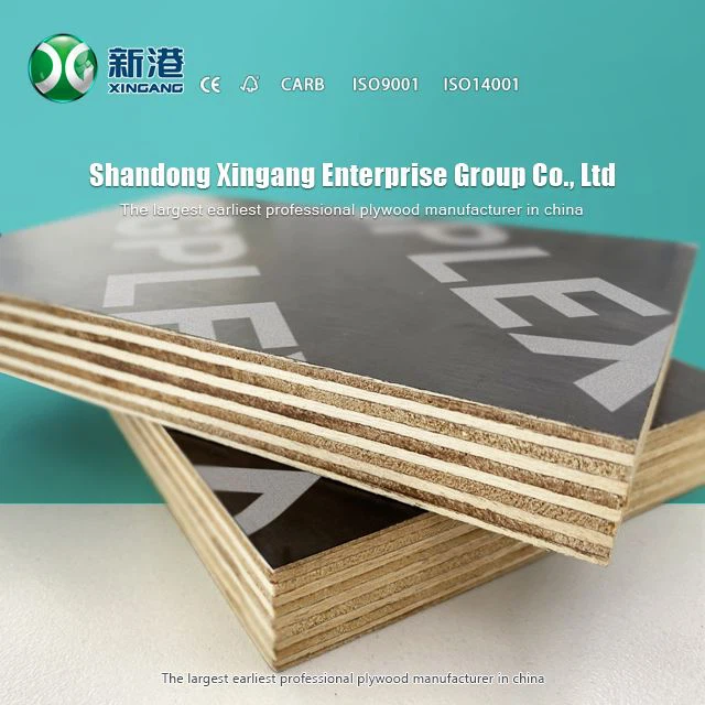 Xingang Hotsale Shuttering Film Faced Plywood WBP Glue Main Poplar Marterials Best Price