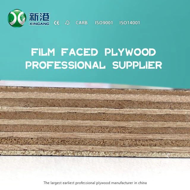 Xingang Hotsale Shuttering Film Faced Plywood WBP Glue Main Poplar Marterials Best Price